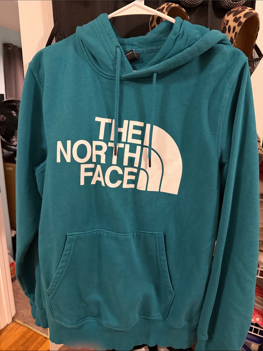 The North Face Teal Pullover Hoodie with White Logo